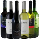 Spring Burst English Wine Case Spring Burst English Wine Case