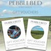Pebblebed Vineyard Tour & Tasting For Two